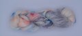 Super Kid Mohair Silk – Lace Yarn "Bastille Day"