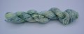 Superwash Sock mini skein - "Verdant"